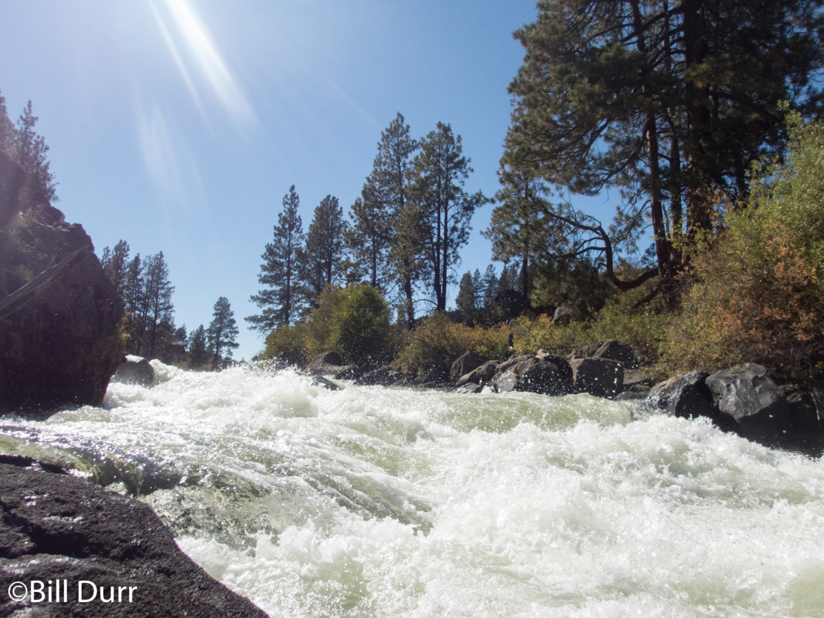 PNW Day 2: Deschutes [Meadowcamp]