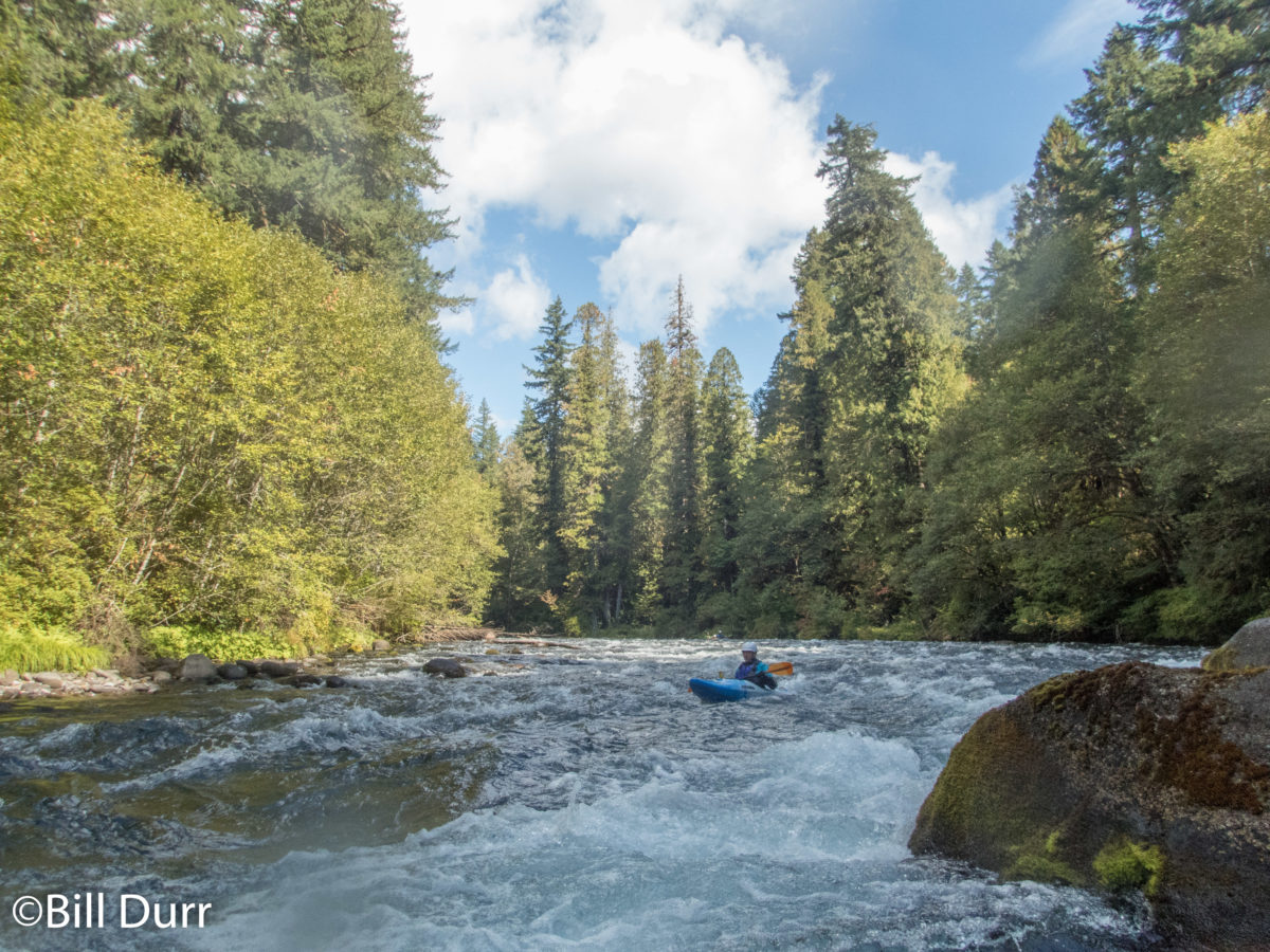 PNW day 5: McKenzie