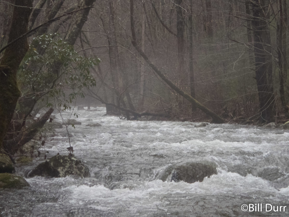 Over the Mountain and Through the Woods to a Drainage Ditch